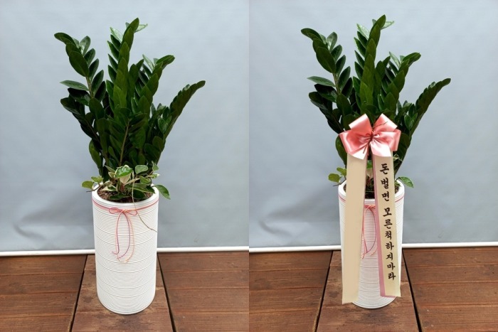 ����ȭ�� ������