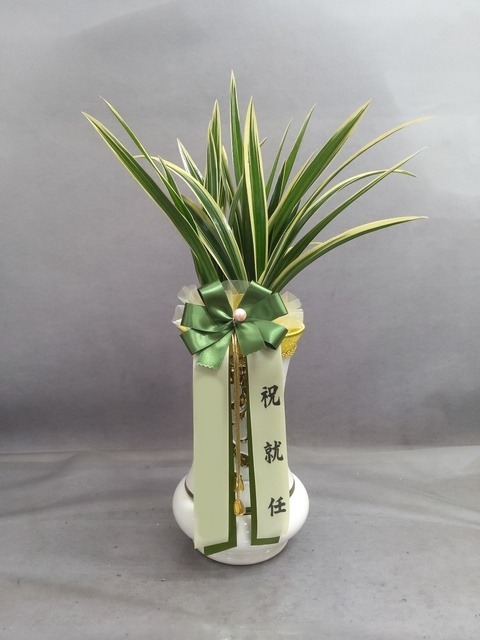 ����� �¾��