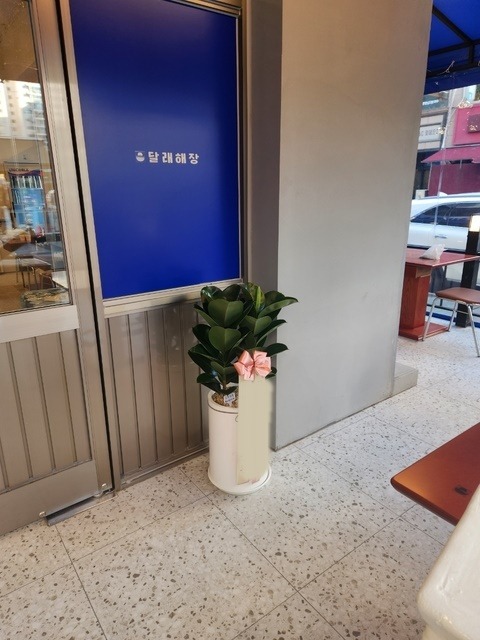 ����ȭ�� ��������