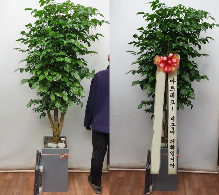 ����ȭ�� �캸��