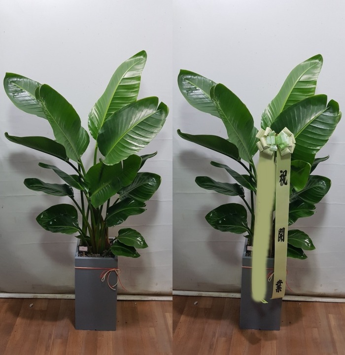 ����ȭ�� �ض���