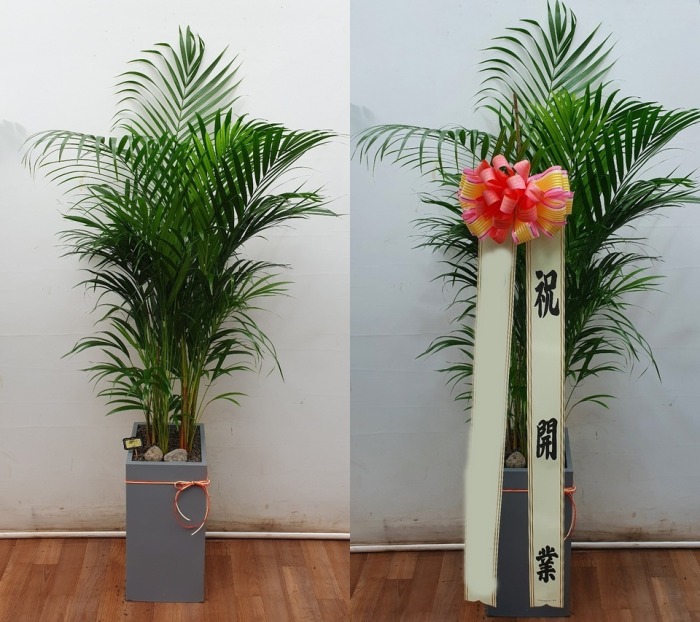 ����ȭ�� �Ʒ�ī����