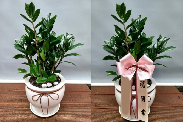 ����ȭ�� ������ Ź���