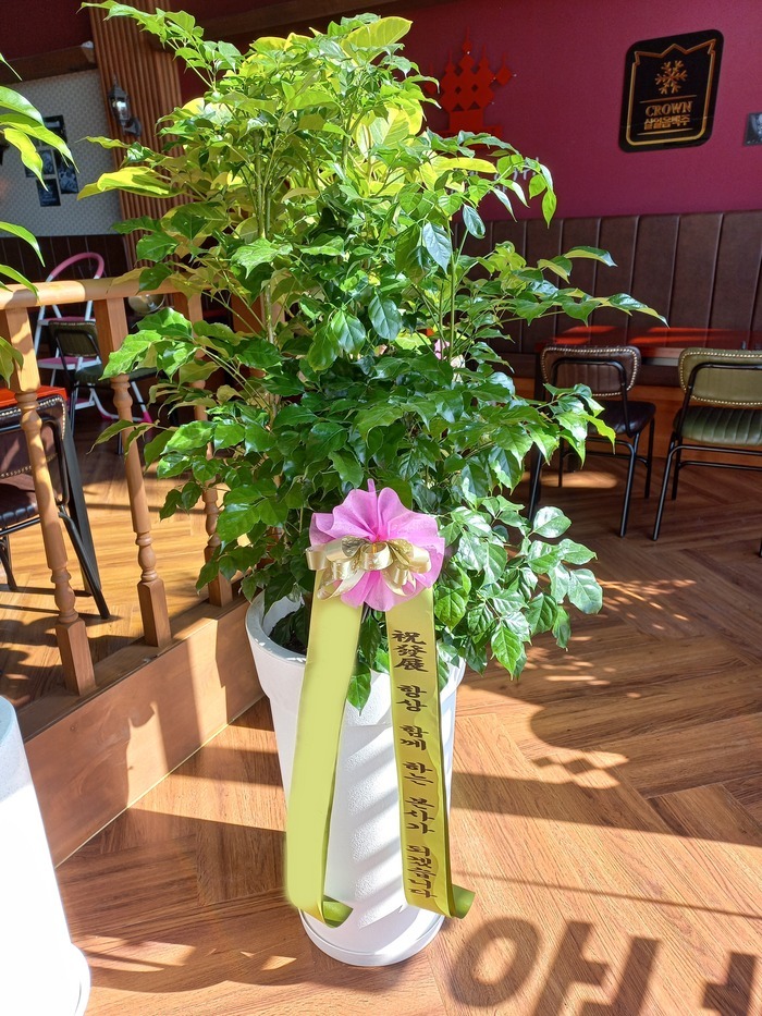 ����ȭ�� �캸��