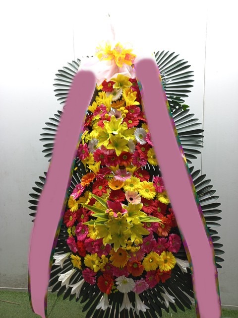 ����3��ȭȯ