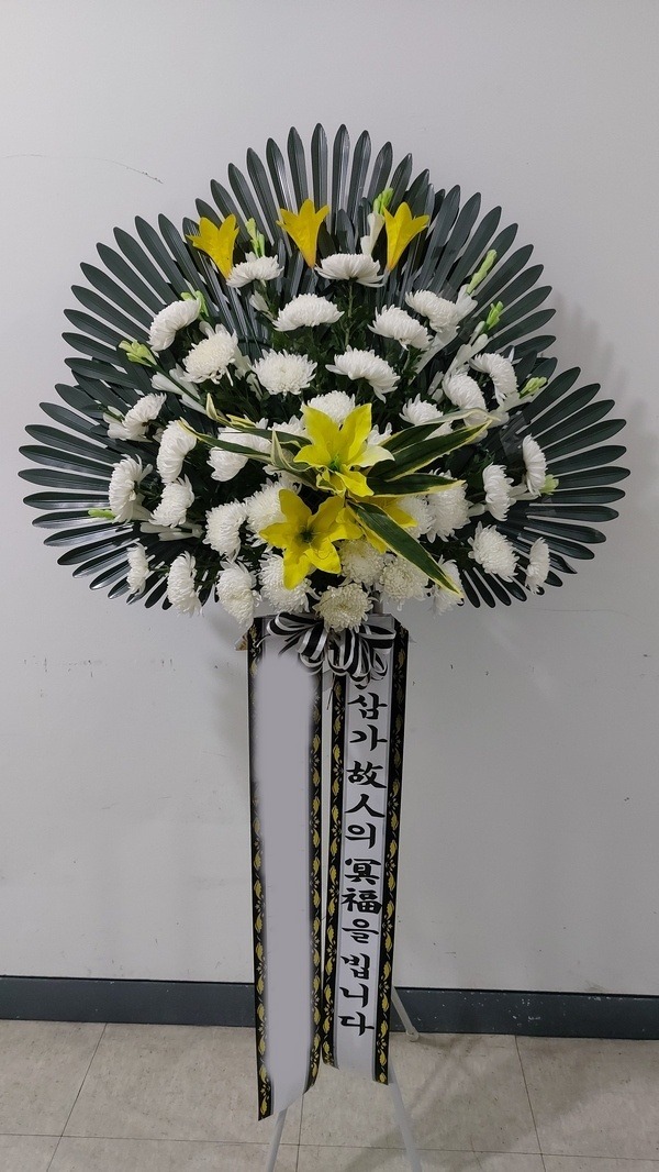 ����ȭȯ ������