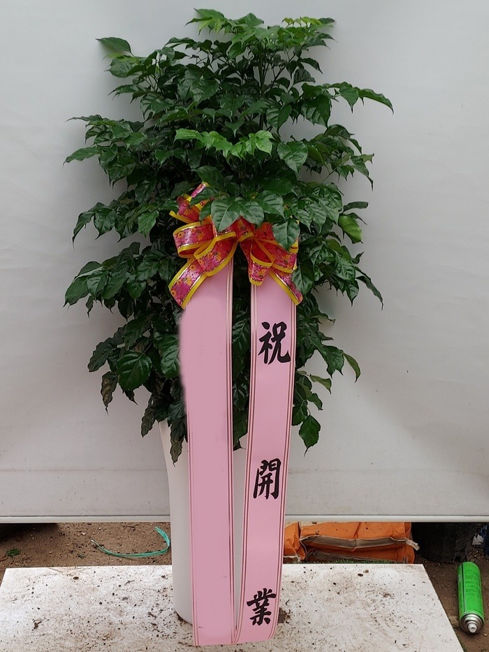 ����ȭ�� �캸��