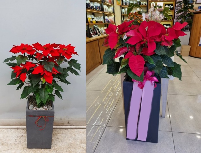 ����ȭ�� ���μ�Ƽ��