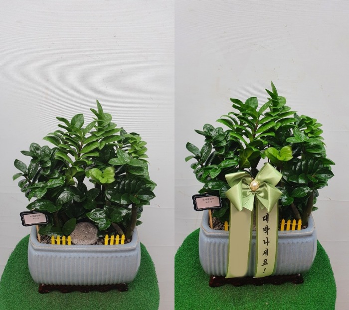 ����ȭ�� ����������