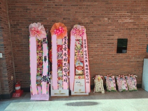 ���Ͻ�ȭȯ 20kg