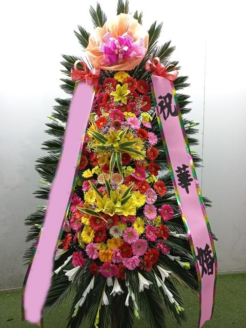 ����ȭȯ Ư��