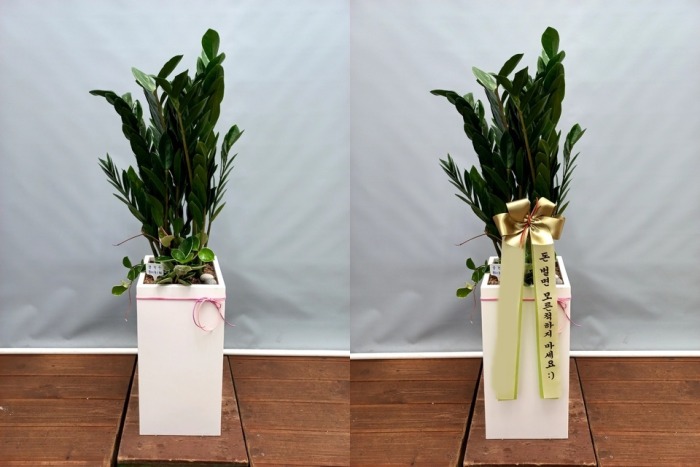 ����ȭ�� ������