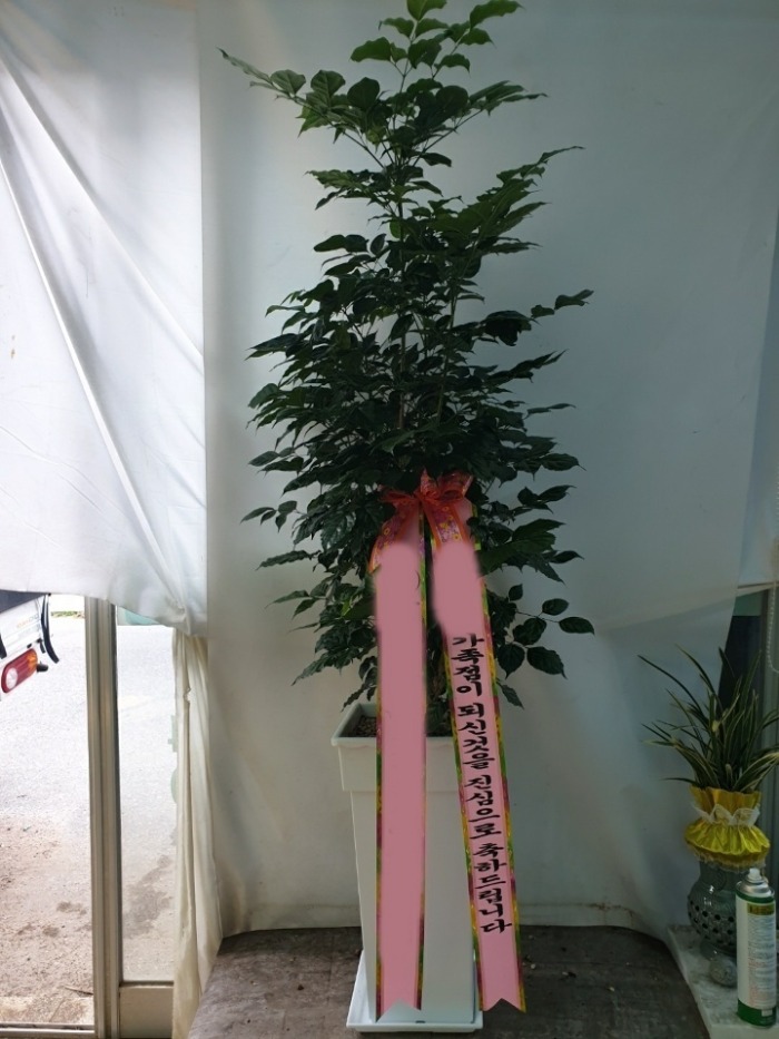 ����ȭ�� �캸��