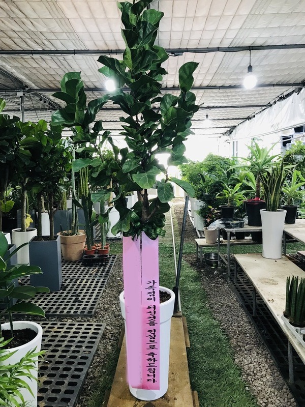 ����ȭ�� ������������