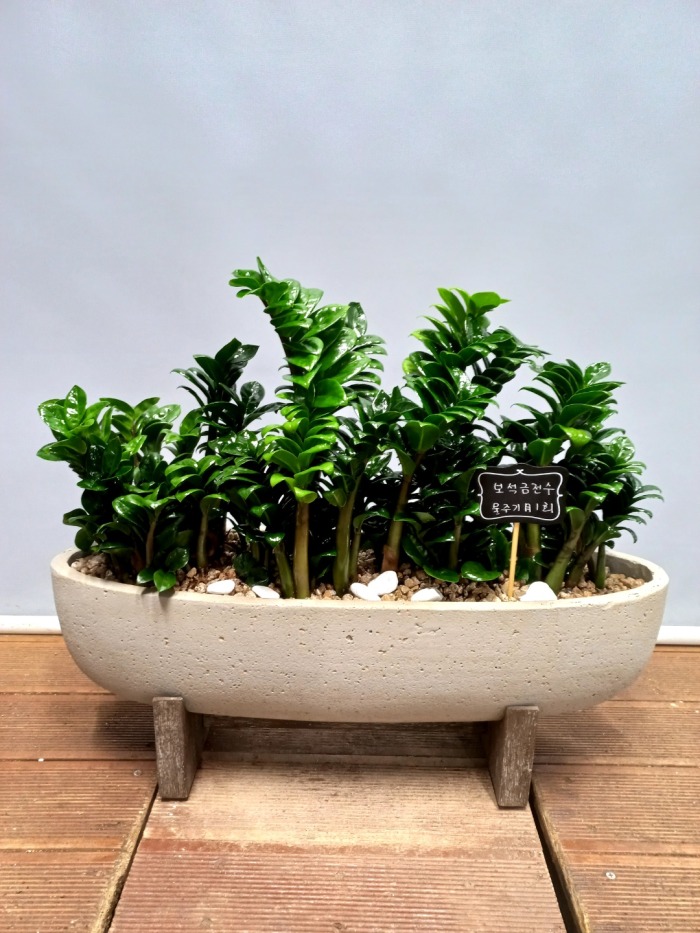 ����ȭ�� ����������