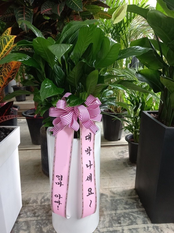 ����ȭ�� ����Ʈ�ʸ�