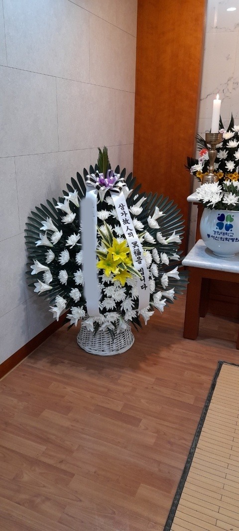 ����ٱ���