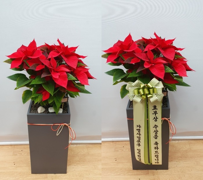 ����ȭ�� ���μ�Ƽ��