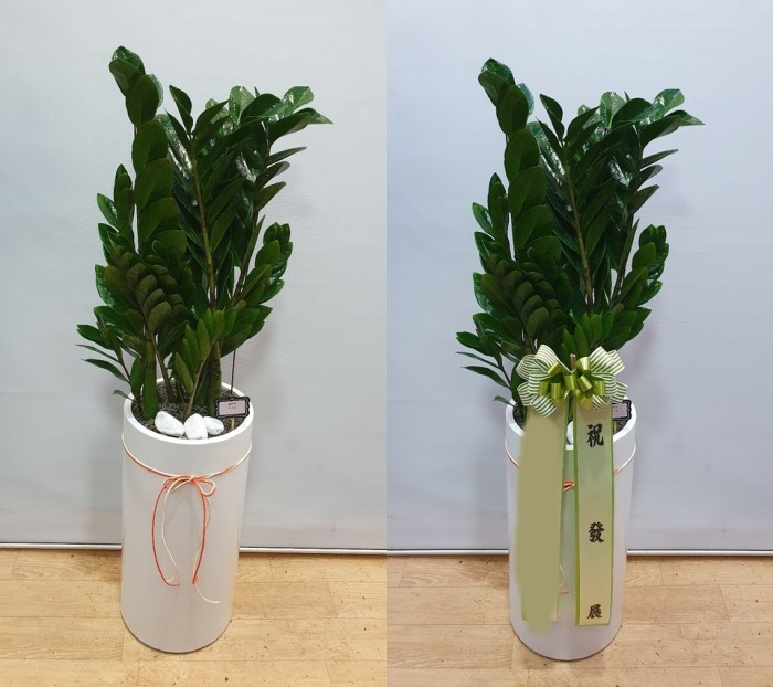 ����ȭ�� ������