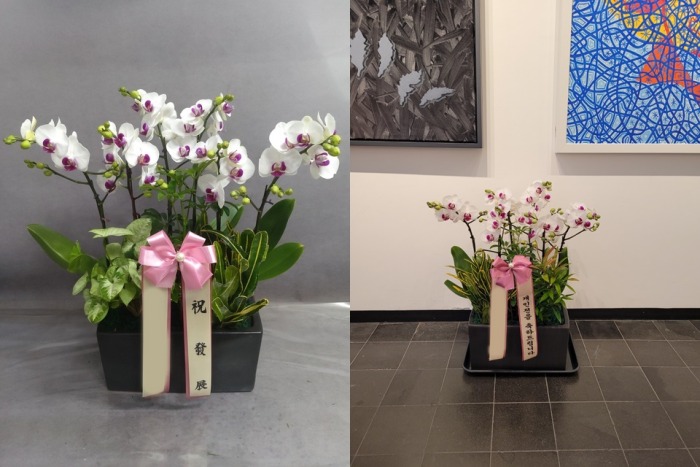 ����� �̴�ȣ��