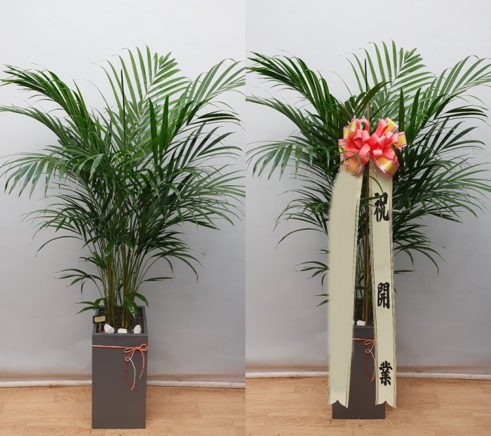 ����ȭ�� �Ʒ�ī����