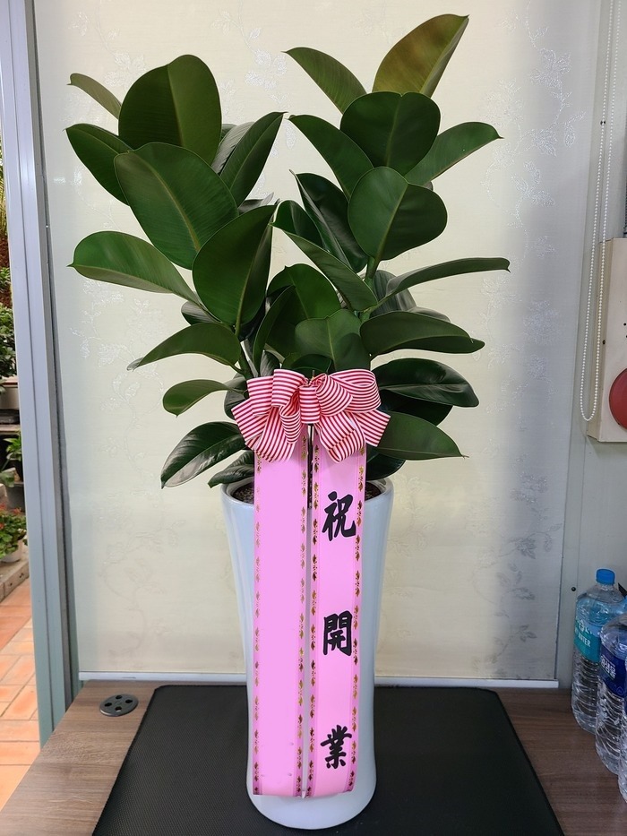 ����ȭ�� ��������