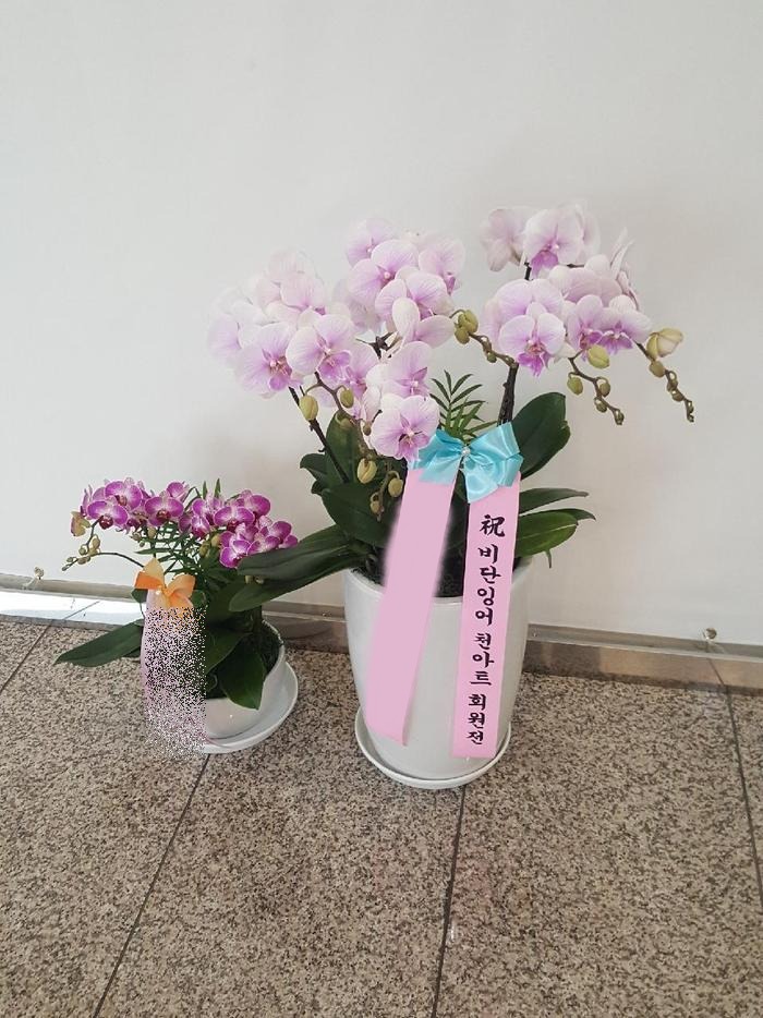 ����� ȣ����