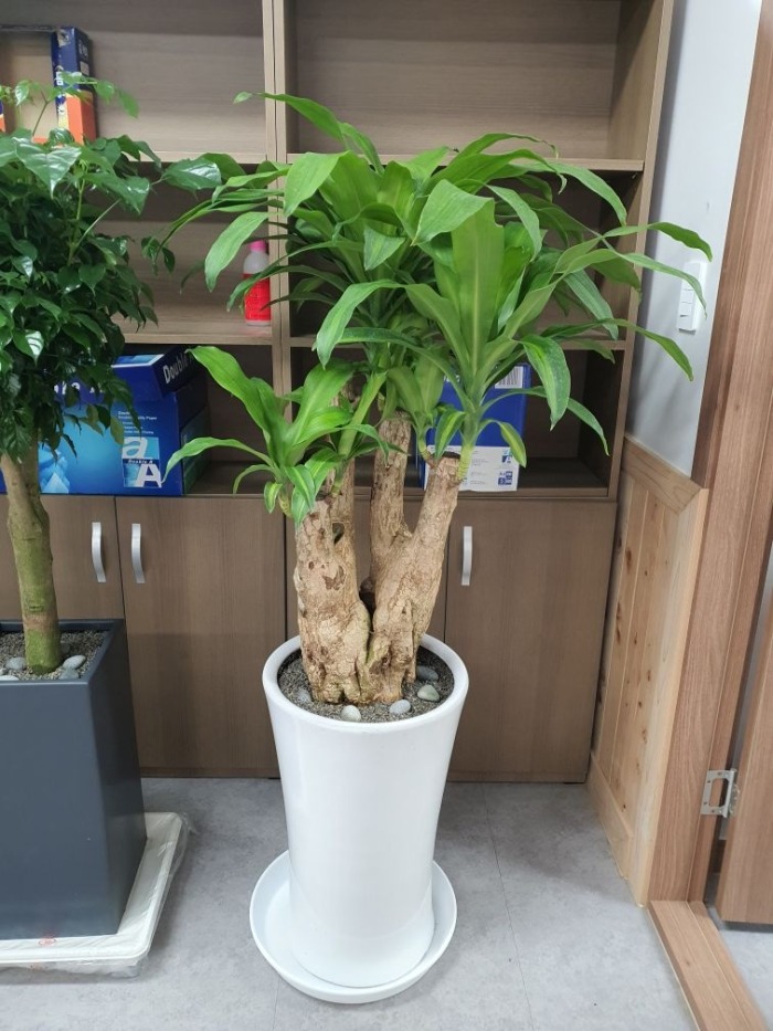 ����ȭ�� ���� ����