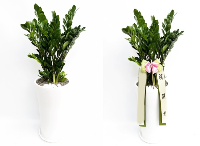 ����ȭ�� ������