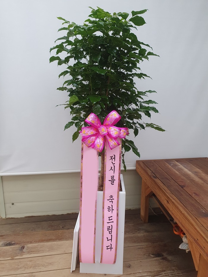 ����ȭ�� �캸��