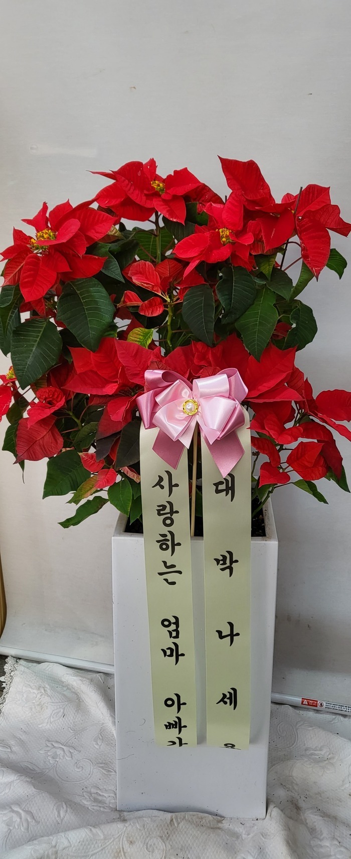 ����ȭ�� ���μ�Ƽ��