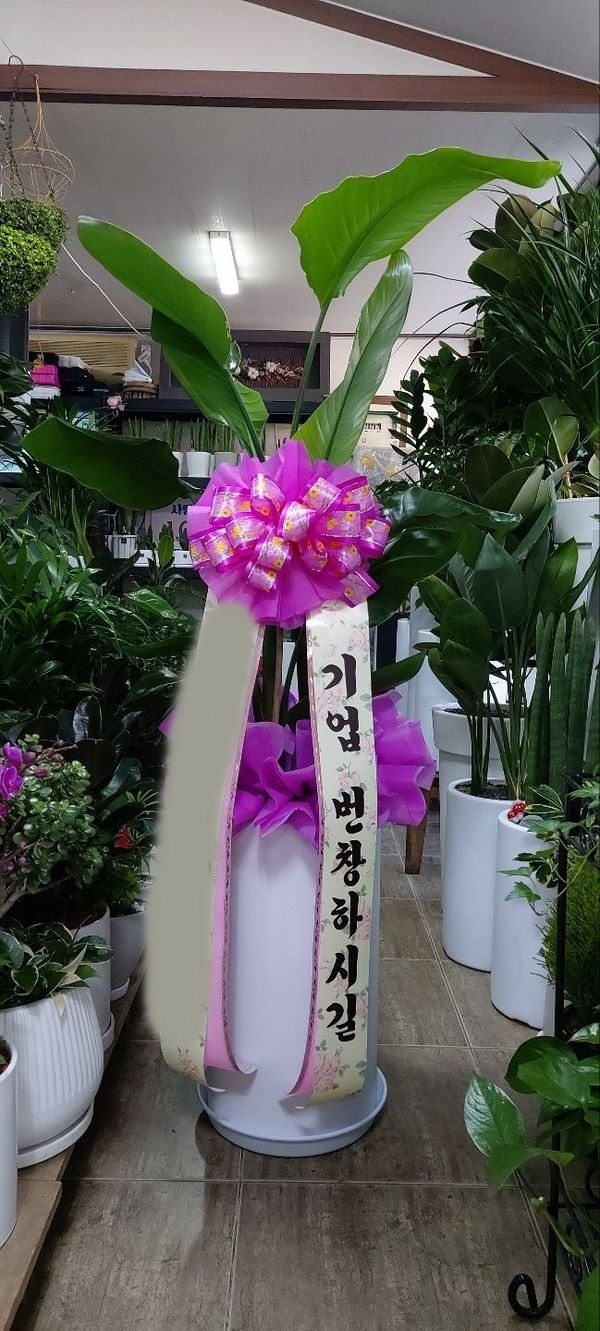 ����ȭ�� �ض���