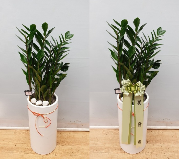 ����ȭ�� ������