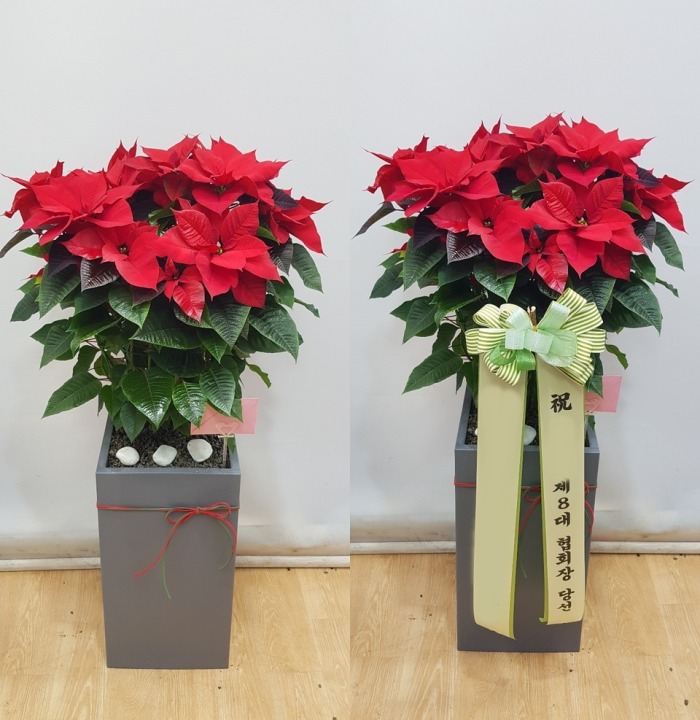 ����ȭ�� ���μ�Ƽ��