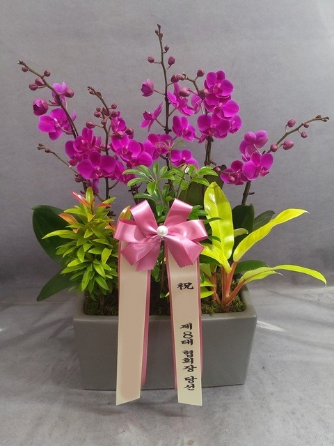 ����� ��õȫ