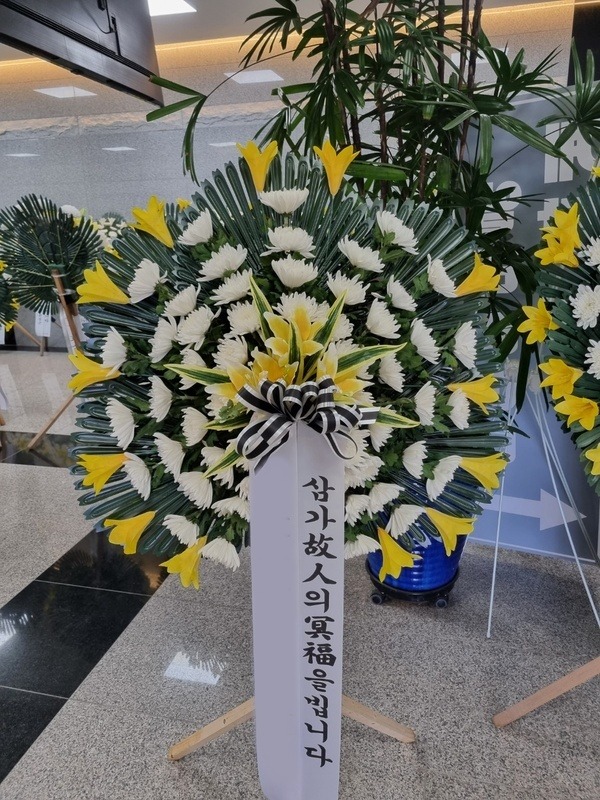 ����������ȭȯ