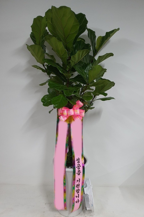 ����ȭ�� ������������