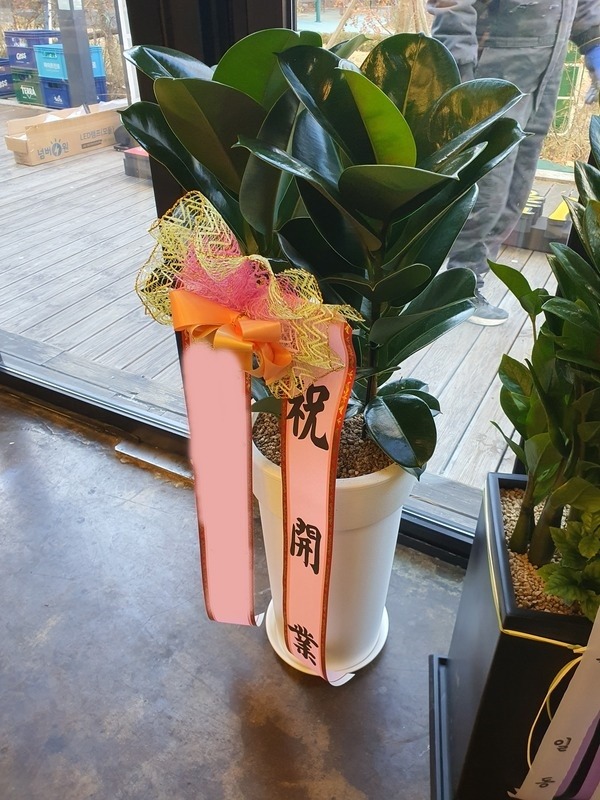 ����ȭ�� ��������