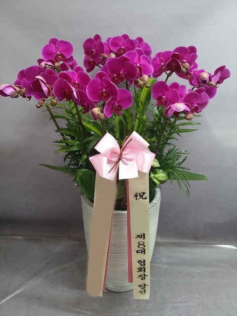 ����� ȣ����