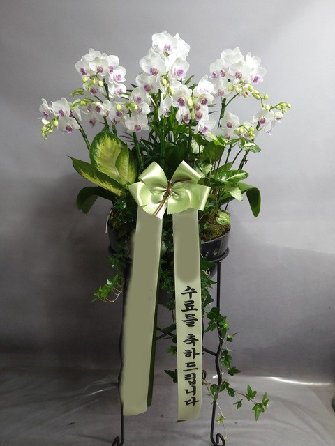 ����� �߹̴�ȣ��