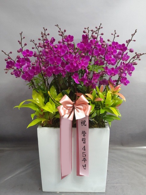 ����� ��õȫ