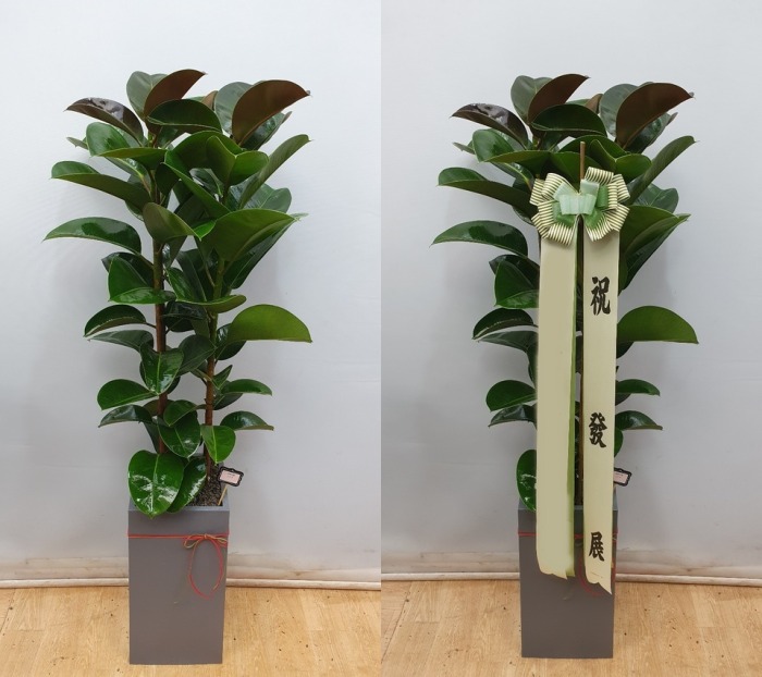 ����ȭ�� ��������