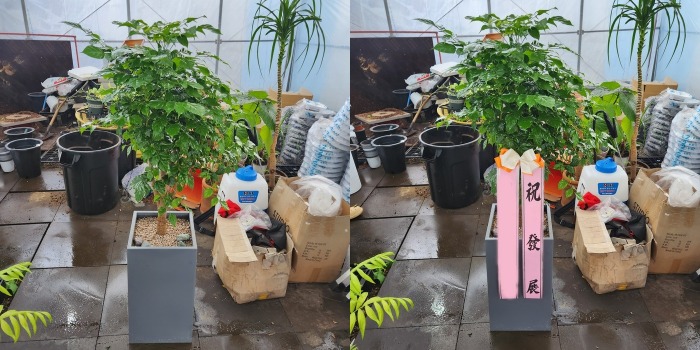 ����ȭ�� �캸��