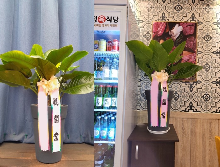 ����ȭ�� ���