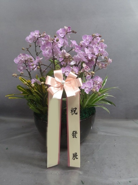 ����� �̴�ȣ��