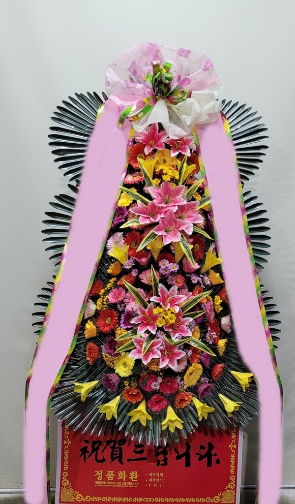 ����3��ȭȯ