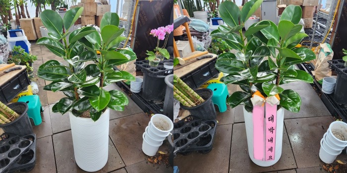 ����ȭ�� ��������