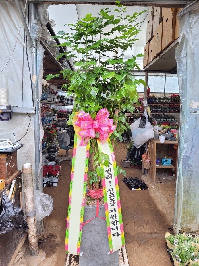 ����ȭ�� �캸��