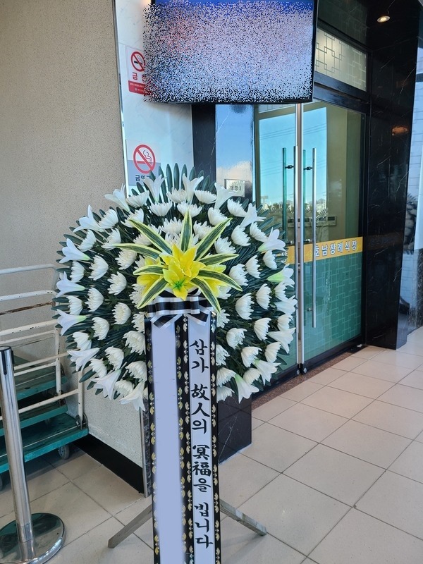 ����ȭȯ ������ȭȯ