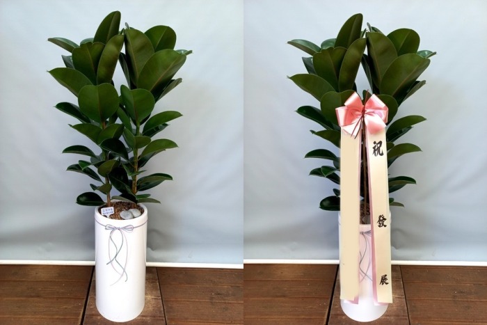 ����ȭ�� ��������